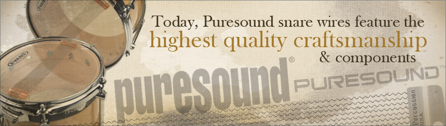 Puresoundの歴史