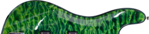 Blue Green Algae